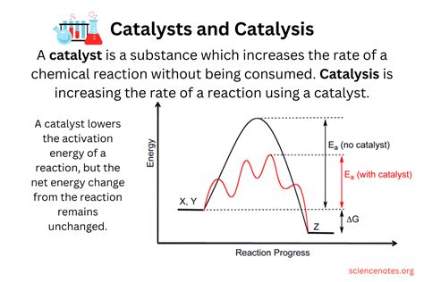 What Is a Catalyst? Understand Catalysis