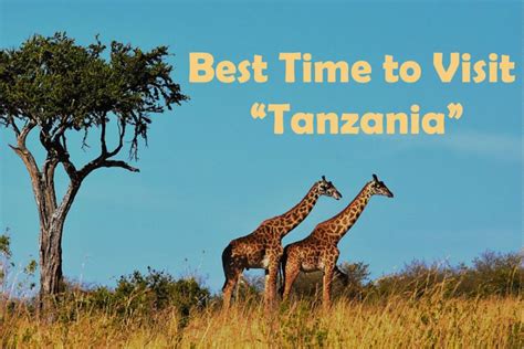 Best Time to Visit Tanzania | Meet Africa