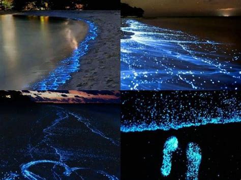 Photos: The glowing Maldives beach you have to see to believe | Travel ...