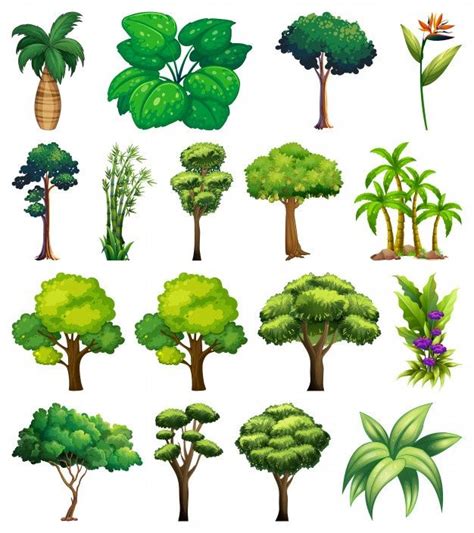 Free Vector | Set of variety plants and trees | Cartoon trees, Plants ...