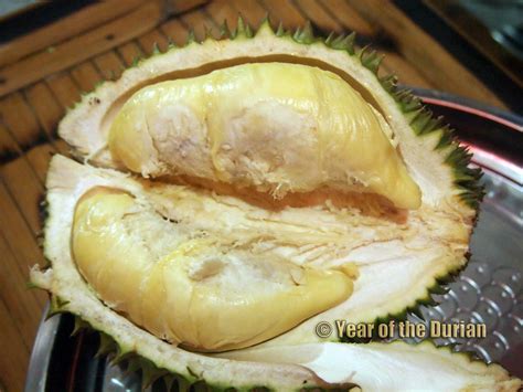 Philippine Durian Varieties