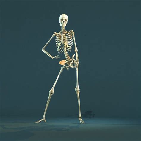 Pin on Skeleton poses