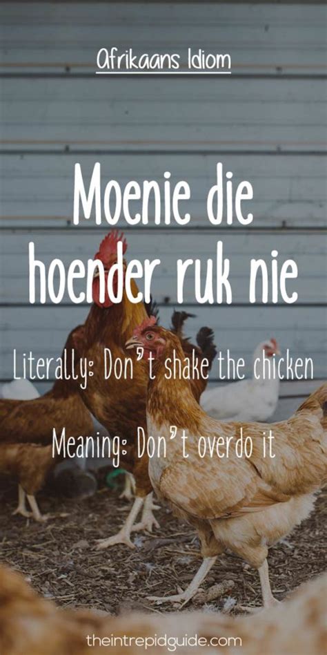 25 Hilarious Afrikaans Idioms That Should Exist in English | The Intrepid Guide