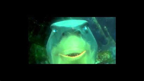 Finding Nemo Shark Chase Scene (Remix) - YouTube