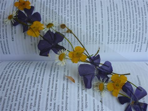 Dried flowers, Pressed flower bookmark, flowers bookmark, Pressed ...