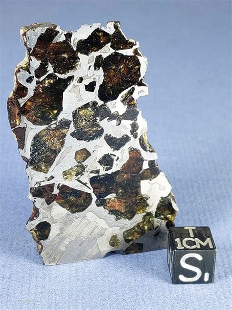 Meteorites for sale at mile high meteorites authentic historic mars and ...