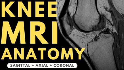 Mri Knee