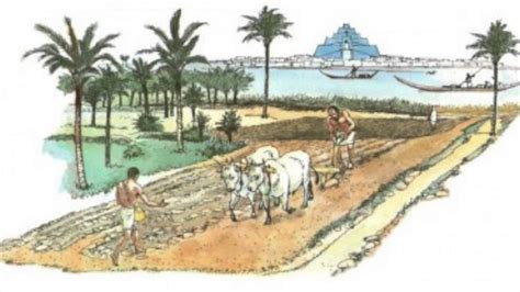 Mesopotamian Agriculture - YouTube