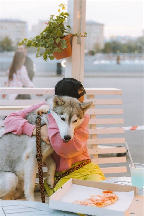 Close-Up Shot of a Person Hugging a Dog · Free Stock Photo