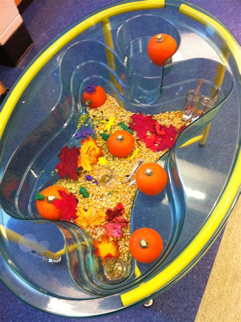 Fall sensory table for my preschoolers | Sensory table, Sensory, Pumpkin