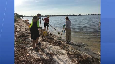 Manatee officials: Volunteers needed for red tide cleanup