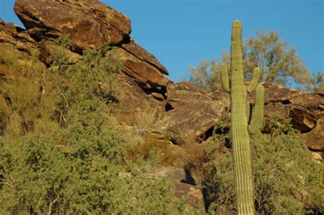 South Mountain Park (Phoenix, AZ): Hours, Address, Tickets & Tours ...