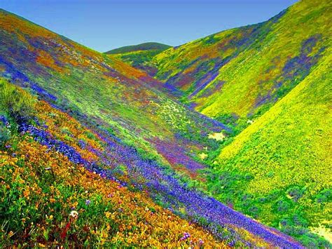 22 Technicolor Dreamscapes You Won't Believe Are Real, Actual Places In Nature | Valley of ...