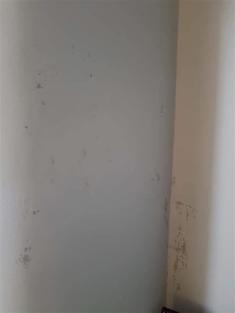 Strange marks appearing on friend's wall : r/HomeMaintenance