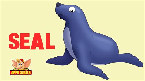 Animal Sounds - Seal - YouTube