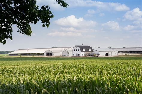 Machine Learning in Dairy Farming | Use ML for Dairy Farming Efficient