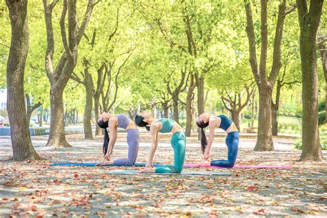 Female Park Outdoor Yoga Picture And HD Photos | Free Download On Lovepik