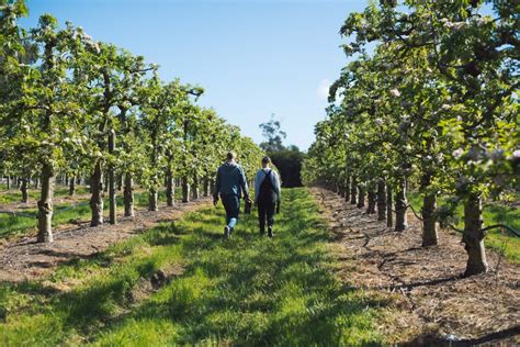 Farming for a better climate: five examples of regenerative agriculture ...