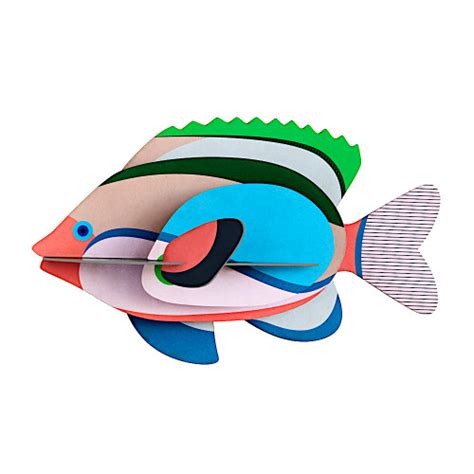 Fairy Wrasse 3-D Wall Art - Totally Awesome Goods