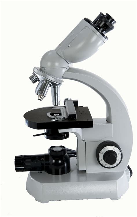 Carl Zeiss Standard | Carl Zeiss Binocular Microscope – Microscope Central