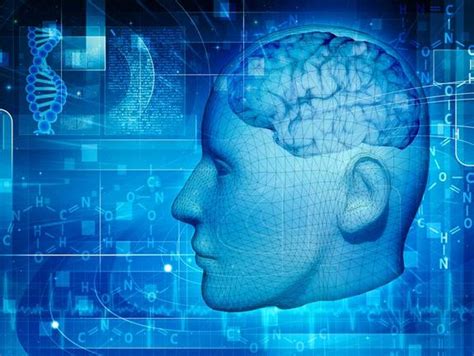 Could Quantum Brain Effects Explain Consciousness? | Live Science