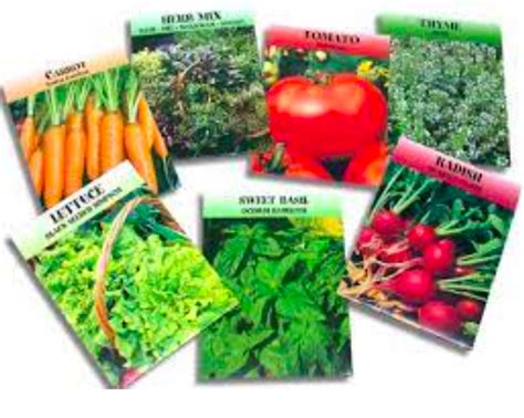 Free Vegetable Seeds | Free Stuff UK