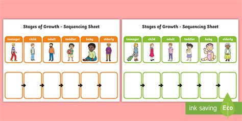 Baby to Adult Sequencing Activity - Stages of Growth