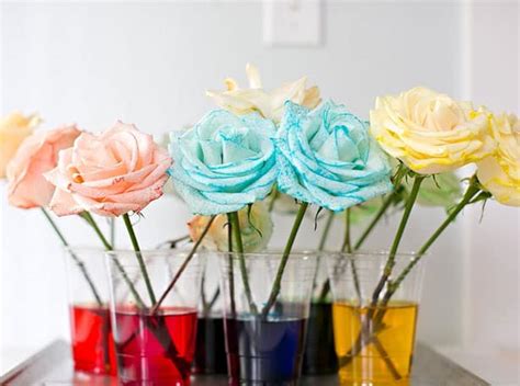 How To Dye Flowers With Food Coloring - canvas-mullet