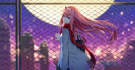 Zero Two Darling In The Franxx Wallpaper,HD Anime Wallpapers,4k Wallpapers,Images,Backgrounds ...