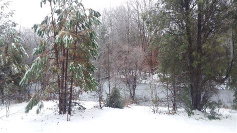 PHOTOS | Major Winter Snow Storm Hits North Carolina | wfmynews2.com