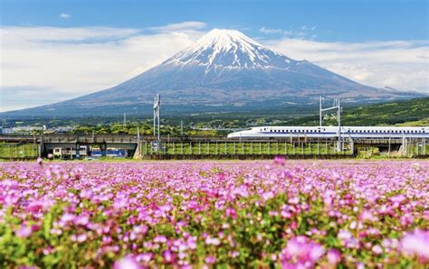 Shinkansen bullet train advertising - Sovereign Ad Blog