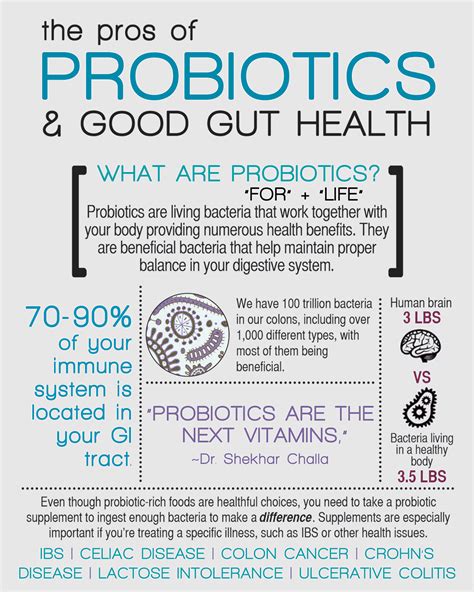 How probiotics help maintain your gut healthy | In search of health ...