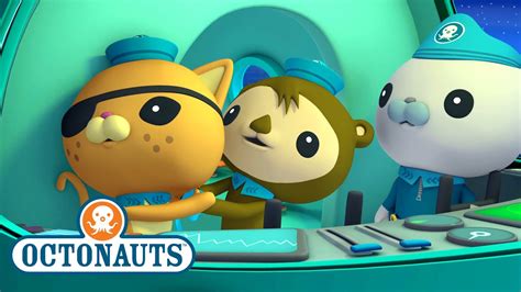 @Octonauts - The Flying Fish | Full Episode 22 | @Kidzuko - YouTube