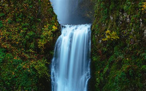 Canada is Home to This Stunning Hidden Pink Waterfall - Daily Tings