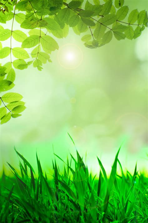 Background,spring,green,grass,tree - free image from needpix.com