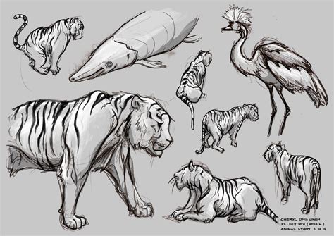 Cheryl Ong: Zoo Sketches