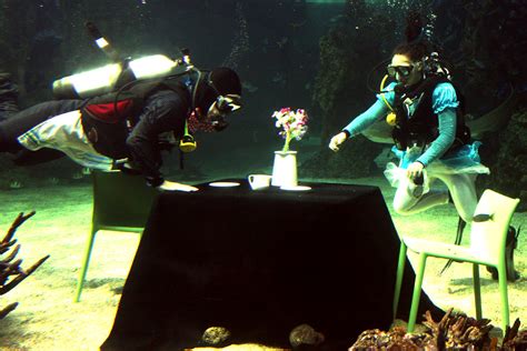 Mad Hatters Tea Party | Sydney Aquarium hosts a Mad Hatter's… | Flickr