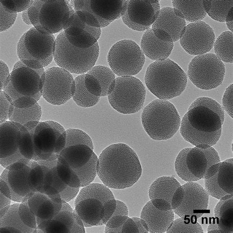 Mesoporous Silica Nanoparticles – nanoComposix