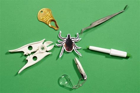 Can Tick-Removal Tools Top Tweezers? | Tool top, Tick removal, Ticks