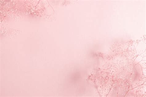 434 Background Flower Soft Pink Images & Pictures - MyWeb