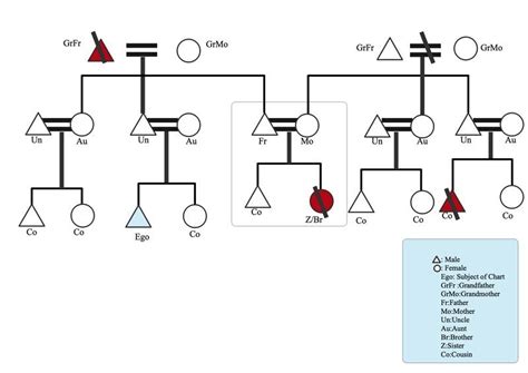 What Is A Kinship Chart? | EdrawMax Online