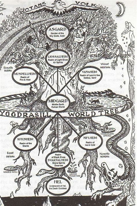 The "World's Tree" of Norse mythology. : r/occult