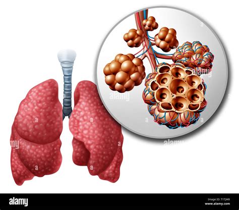 Breathing a vein Cut Out Stock Images & Pictures - Alamy