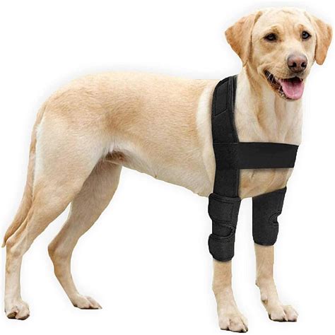 Elbow Brace for Dog - Protective Pads for Canine Elbow and Shoulders - Elbow Hygroma and ...