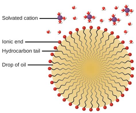 Colloids · Chemistry