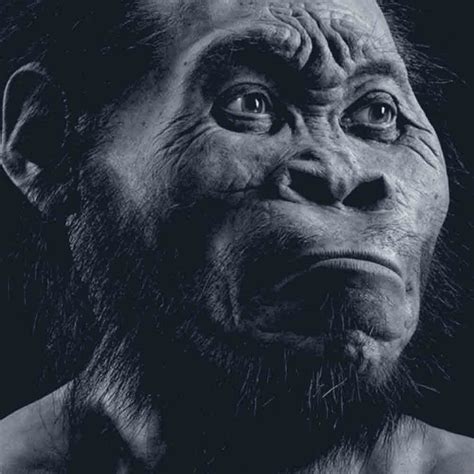 Hominin Species Homo Naledi Discovered | 1Africa