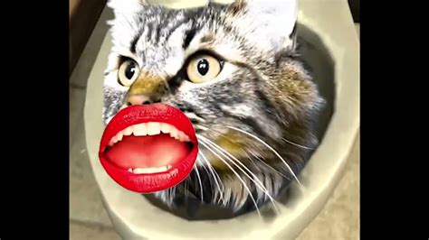 Skibidi Toilet 45 Cat Version - YouTube