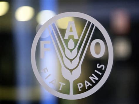 FAO: More funds for new strategies | Devex