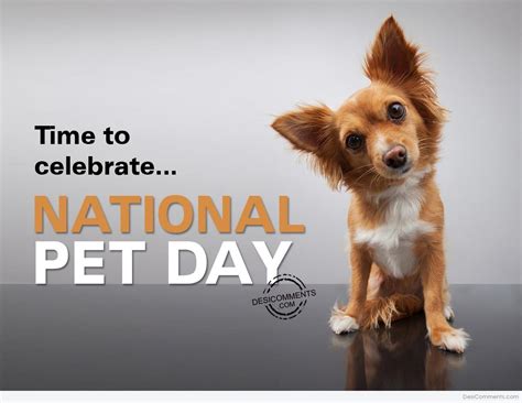 Time to celebrate, National Pet Day - Desi Comments