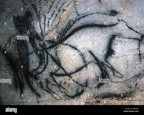 prehistory, cave-painting, aurochs, Pech Merle, France, 20000 vChr., historic, historical, cave ...